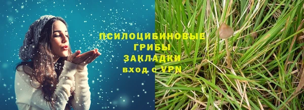 прущая мука Алзамай
