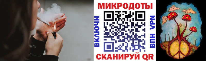 хочу   Богучар  даркнет как зайти  Псилоцибиновые грибы мицелий 